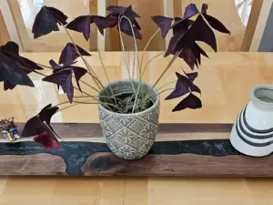 Table Runner